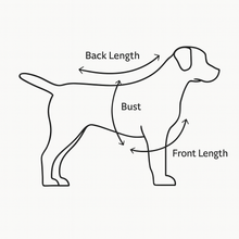 Load image into Gallery viewer, MIDNIGHT JEWEL (SAPPHIRE BLUE) - Pet One Piece Long Matching Pyjama Set