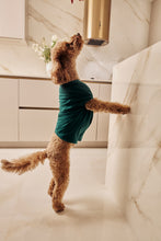 Load image into Gallery viewer, MIDNIGHT JEWEL (EMERALD GREEN) - Pet One Piece Long Matching Pyjama Set