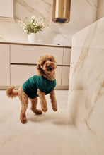 Load image into Gallery viewer, MIDNIGHT JEWEL (EMERALD GREEN) - Pet One Piece Long Matching Pyjama Set