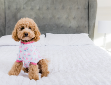 Load image into Gallery viewer, TUTTI FRUITY - Pet's One Piece Matching Pyjama Set