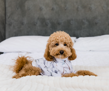 Load image into Gallery viewer, SAFARI - Pet's One Piece Matching Pyjama Set