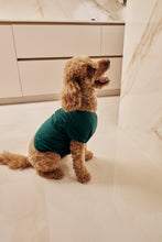 Load image into Gallery viewer, MIDNIGHT JEWEL (EMERALD GREEN) - Pet One Piece Long Matching Pyjama Set
