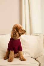 Load image into Gallery viewer, MIDNIGHT JEWEL (RICH BURGUNDY) - Pet One Piece Long Matching Pyjama Set
