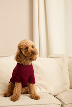 Load image into Gallery viewer, MIDNIGHT JEWEL (RICH BURGUNDY) - Pet One Piece Long Matching Pyjama Set
