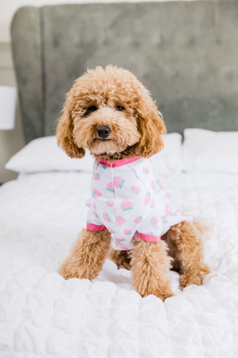 TUTTI FRUITY - Pet's One Piece Matching Pyjama Set