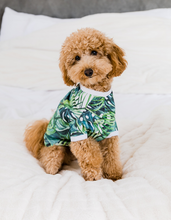 Load image into Gallery viewer, TROPICAL PALM - Pet&#39;s One Piece Matching Pyjama Set
