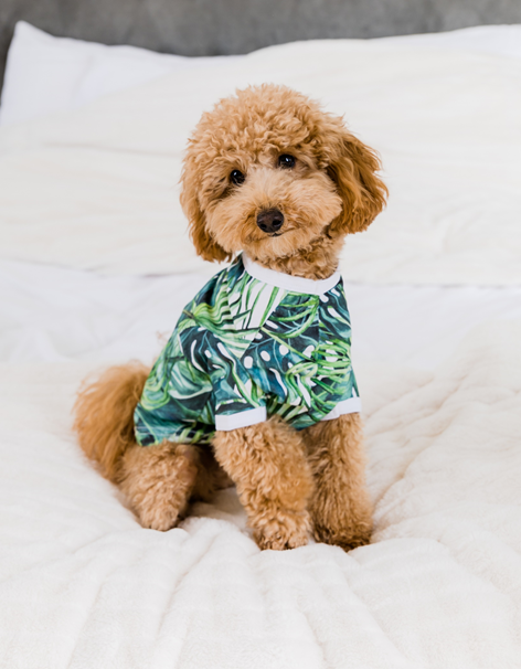 TROPICAL PALM - Pet's One Piece Matching Pyjama Set